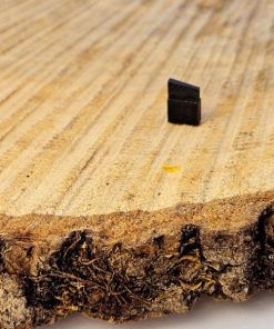 K31 Korn für Kornträger "Grünel"