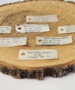 7x Schmidt Rubin Identitätskarte (troop tag)