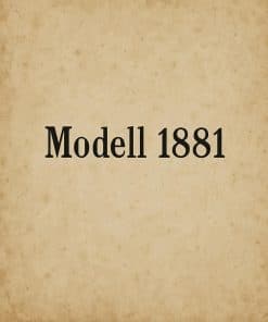 Vetterli Gewehr M1881